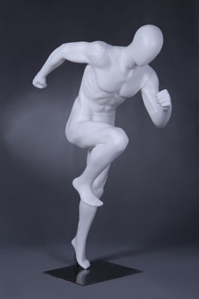 ZJMS01